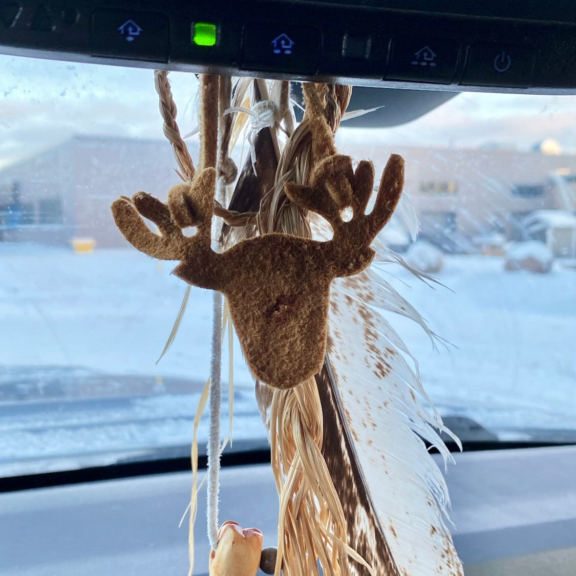 Moose Car Fresheners