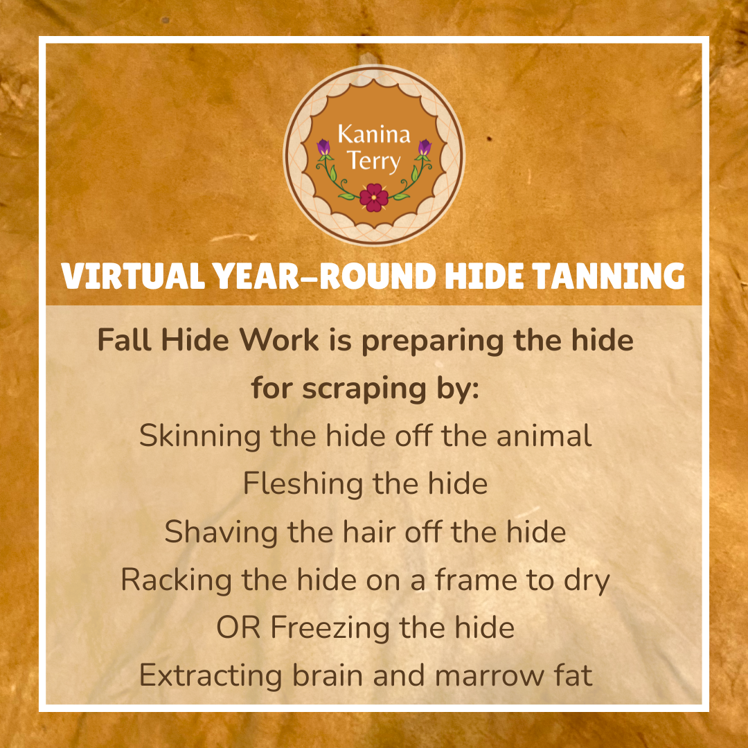 Virtual Year-Round Hide Tanning