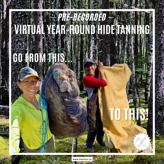 Pre-recorded Virtual Year-Round Hide Tanning
